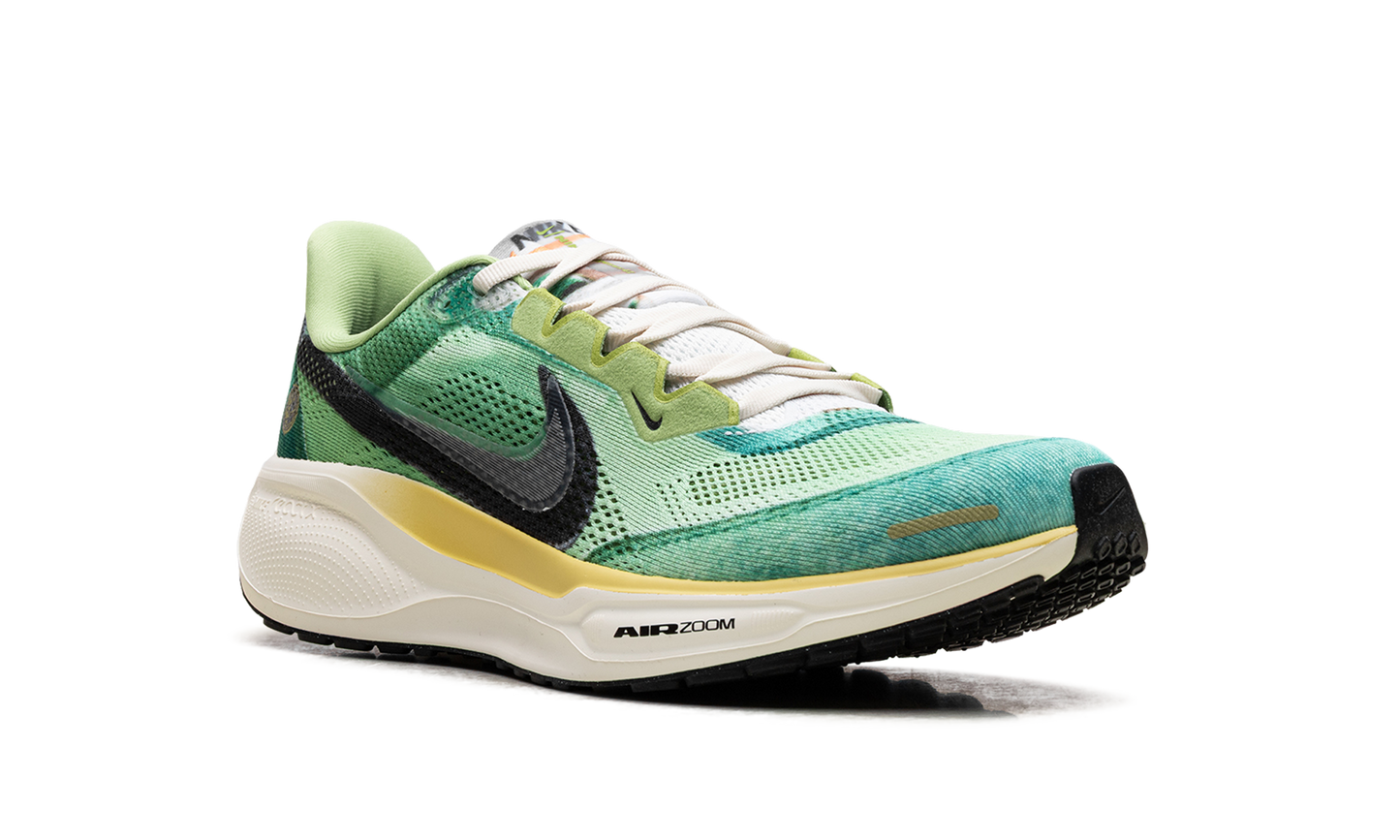 Air Zoom Pegasus 41 "Waffle Racer" IH3583 999