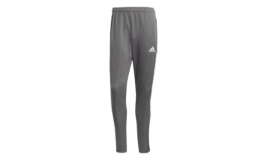 Tiro21 Track Pants "Team Grey Four" GJ9868