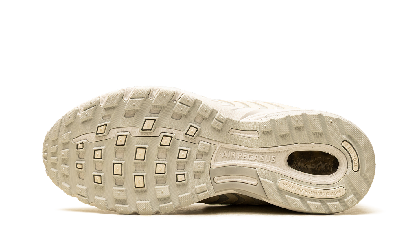 Air Pegasus 2005 SE "Platinum/Metallic Platinum" IB2983 001